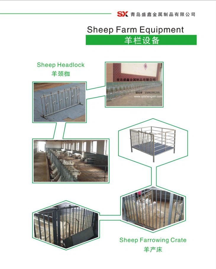 Sheep Farm Equipment