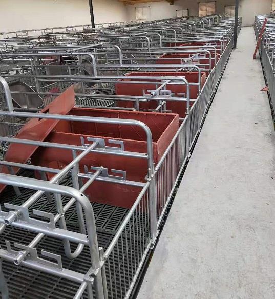 Farrowing crate in farm 3