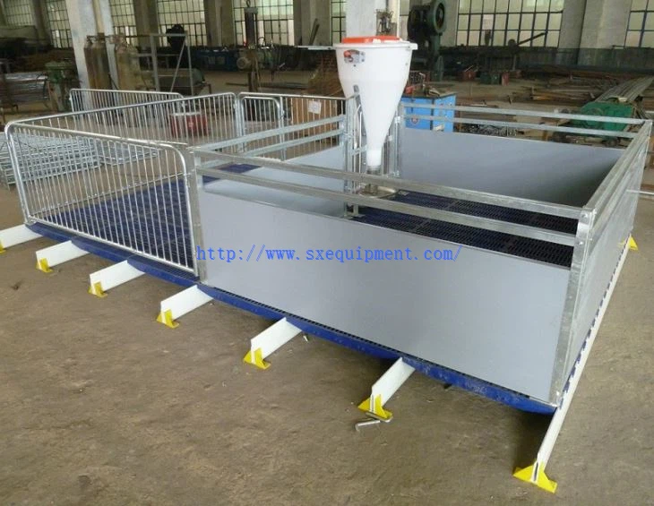 Livestock Pig Farm Swine Nursery Crate